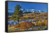 Dallas Mountain and San Juan Mountain Range in autumn, Colorado-Darrell Gulin-Framed Stretched Canvas