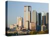 Dallas Skyline, Dallas, Texas, USA-Walter Bibikow-Stretched Canvas