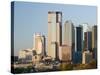 Dallas Skyline, Dallas, Texas, USA-Walter Bibikow-Stretched Canvas