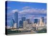 Dallas Skyline-Murat Taner-Stretched Canvas