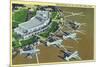 Dallas, Texas - Landed Planes on Love Field View-Lantern Press-Mounted Premium Giclee Print