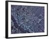 Dallas, Texas-Stocktrek Images-Framed Photographic Print