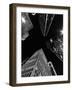Dallas Up Bw-John Gusky-Framed Photographic Print