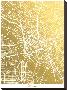 Dallas-The Gold Foil Map Company-Stretched Canvas
