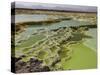 Dallol Geothermal Area, Danakil Depression, Ethiopia-Stocktrek Images-Stretched Canvas