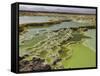 Dallol Geothermal Area, Danakil Depression, Ethiopia-Stocktrek Images-Framed Stretched Canvas