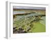 Dallol Geothermal Area, Danakil Depression, Ethiopia-Stocktrek Images-Framed Premium Photographic Print