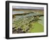 Dallol Geothermal Area, Danakil Depression, Ethiopia-Stocktrek Images-Framed Photographic Print