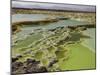 Dallol Geothermal Area, Danakil Depression, Ethiopia-Stocktrek Images-Mounted Photographic Print