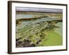 Dallol Geothermal Area, Danakil Depression, Ethiopia-Stocktrek Images-Framed Photographic Print