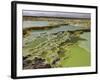 Dallol Geothermal Area, Danakil Depression, Ethiopia-Stocktrek Images-Framed Photographic Print