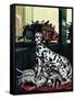 "Dalmatian and Pups," January 13, 1945-Stevan Dohanos-Framed Stretched Canvas