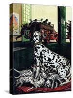 "Dalmatian and Pups," January 13, 1945-Stevan Dohanos-Stretched Canvas