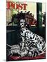 "Dalmatian and Pups," Saturday Evening Post Cover, January 13, 1945-Stevan Dohanos-Mounted Giclee Print