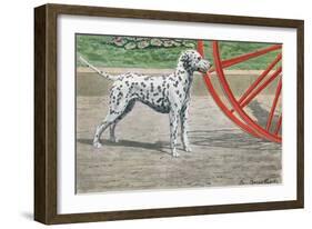 Dalmatian by Coach Wheel-Louis Agassiz Fuertes-Framed Art Print