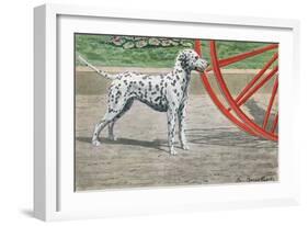 Dalmatian by Coach Wheel-Louis Agassiz Fuertes-Framed Art Print