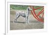 Dalmatian by Coach Wheel-Louis Agassiz Fuertes-Framed Premium Giclee Print