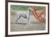 Dalmatian by Coach Wheel-Louis Agassiz Fuertes-Framed Premium Giclee Print