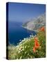 Dalmatian Coast, Croatia-Russell Young-Stretched Canvas