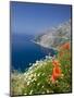 Dalmatian Coast, Croatia-Russell Young-Mounted Photographic Print