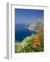 Dalmatian Coast, Croatia-Russell Young-Framed Photographic Print