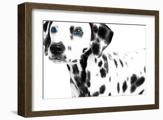 Dalmatian Date II-null-Framed Art Print