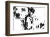 Dalmatian Date II-null-Framed Art Print