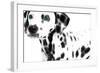 Dalmatian Date II-null-Framed Art Print