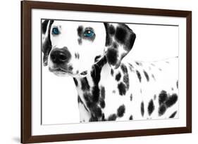 Dalmatian Date II-null-Framed Art Print