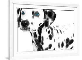 Dalmatian Date II-null-Framed Art Print