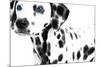 Dalmatian Date II-null-Mounted Art Print