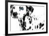 Dalmatian Date II-null-Framed Art Print