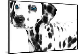 Dalmatian Date II-null-Mounted Art Print