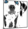 Dalmatian Date III-null-Mounted Art Print