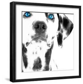 Dalmatian Date III-null-Framed Art Print