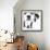 Dalmatian Date III-null-Framed Art Print displayed on a wall