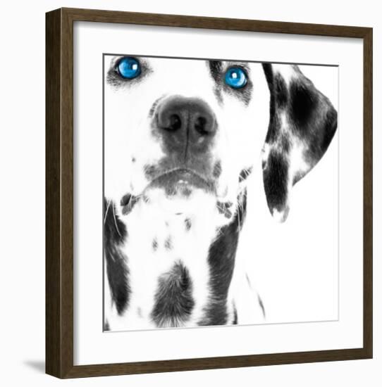 Dalmatian Date III-null-Framed Art Print