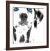 Dalmatian Date III-null-Framed Art Print