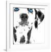 Dalmatian Date III-null-Framed Art Print