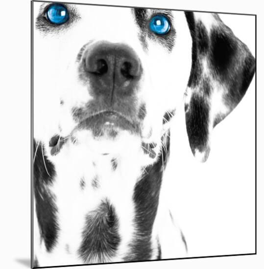 Dalmatian Date III-null-Mounted Art Print