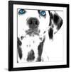 Dalmatian Date III-null-Framed Art Print