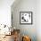 Dalmatian Date IV-null-Framed Art Print displayed on a wall