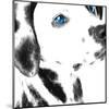 Dalmatian Date IV-null-Mounted Art Print