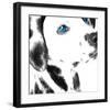 Dalmatian Date IV-null-Framed Art Print