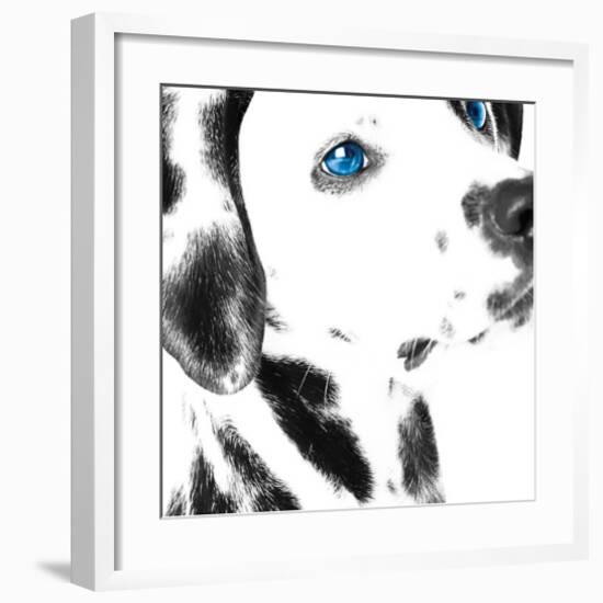 Dalmatian Date IV-null-Framed Art Print