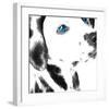 Dalmatian Date IV-null-Framed Art Print