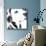 Dalmatian Date IV-null-Mounted Art Print displayed on a wall