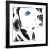 Dalmatian Date IV-null-Framed Art Print