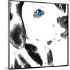 Dalmatian Date IV-null-Mounted Art Print