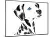 Dalmatian Date V-null-Mounted Premium Giclee Print